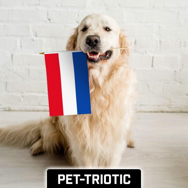 G128 30 Pack Handheld Netherlands Dutch Stick Flags | 12x18 In | Printed 150D Polyester, Country Flag, Solid Wooden Stick, Spear Gold Tip - Image 7