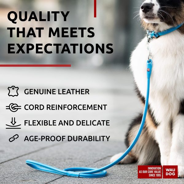 Rolled Leather Dog Leash 4Ft * 0.5 in for Small Medium and Large Dogs   Heavy Duty Leather Puppy Leash for Outdoor Walking Running Training   Strong Dog Leashes for Large Breed Dogs (Blue) - Image 3
