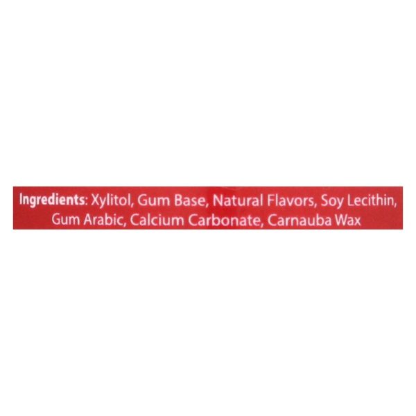Epic Dental - Xylitol Gum - Cinnamon - 50 Count - Image 2
