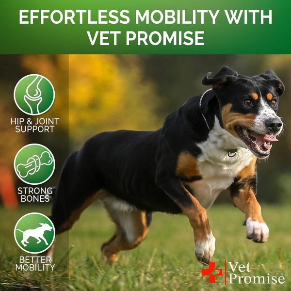 (2 Pack) Glucosamine for Dogs   Hip and Joint Chews - Image 4