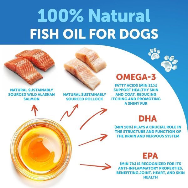 Omega 3 Fish Oil for Dogs   Better Than Salmon Oil   Skin and Coat Defense Liquid Supplement for Allergy Relief   High EPA & DHA for Shedding Mobility Itching Joint & Bone Health Support   16 FL OZ - Image 3
