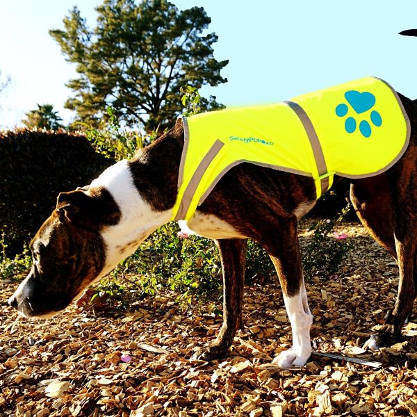 Dog Reflective Vest Sizes to Fit Dogs 14 lbs to 130 lbs    Hi Vis Safety Vest Keeps Dogs Visible On and Off Leash in Both Urban and Rural Environments. (X Small) - Image 6