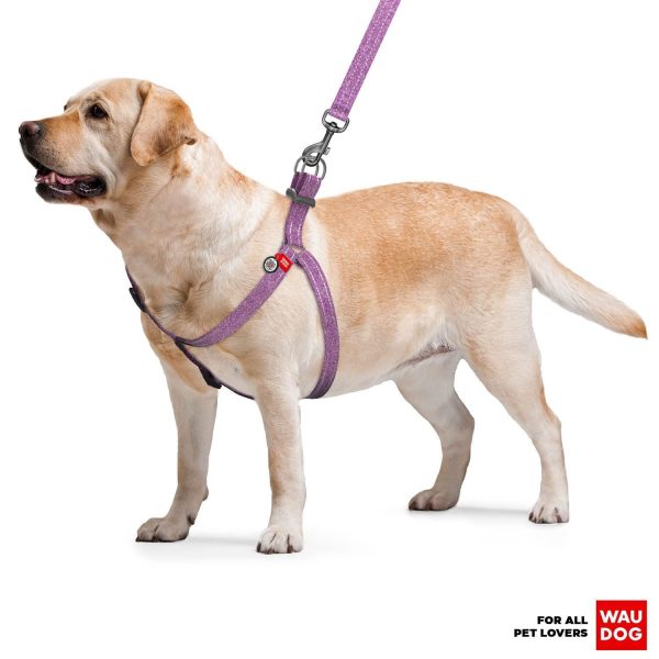 Re Cotton Dog Harness Eco Friendly Alt to Nylon Dog Harness for Small Dogs Medium & Large Dogs   Reflective Dog Harness with QR ID Tag   Puppy Harness with Adjustable Size for Male & Female Dogs - Image 7