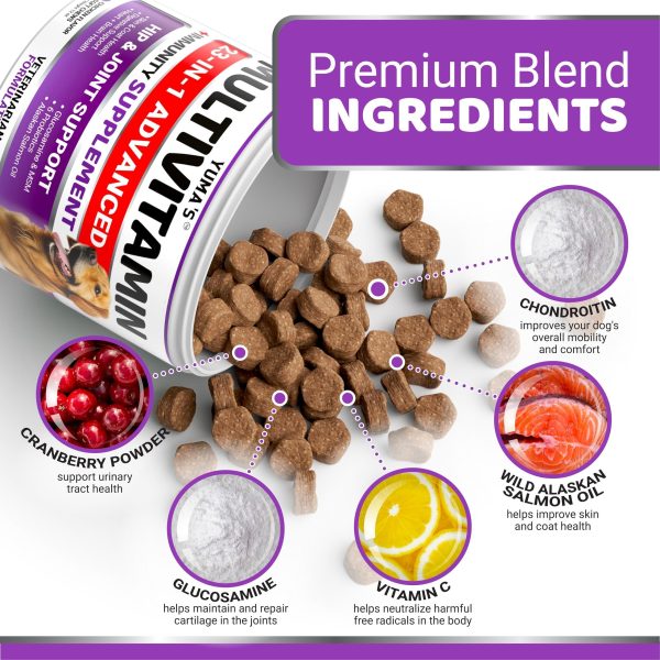 Dog Multivitamin Chewable with Glucosamine   Dog Vitamins and Supplements   170 Treats   Senior & Puppy Multivitamin for Dogs   Hip & Joint Support   Immune Health Skin Heart Digestion Probiotics - Image 3