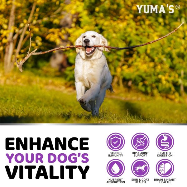 Dog Multivitamin Chewable with Glucosamine   Dog Vitamins and Supplements   170 Treats   Senior & Puppy Multivitamin for Dogs   Hip & Joint Support   Immune Health Skin Heart Digestion Probiotics - Image 4