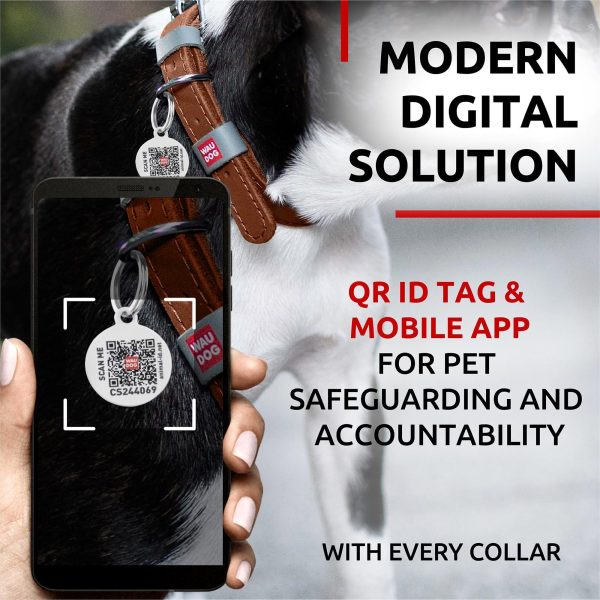 Long Lasting Leather Dog Collar for Large Dogs Medium & Small Dogs   Adjustable Classic Puppy Collars for Large Breed Dogs   Boy & Girl Dog Collars with Durable Buckle D Ring & QR Dog Tag - Image 5