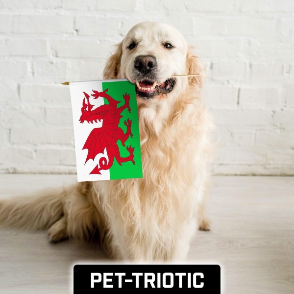 G128 24 Pack Handheld Wales Welsh Stick Flags | 12x18 In | Printed 150D Polyester, Country Flag, Solid Wooden Stick, Spear Gold Tip - Image 7