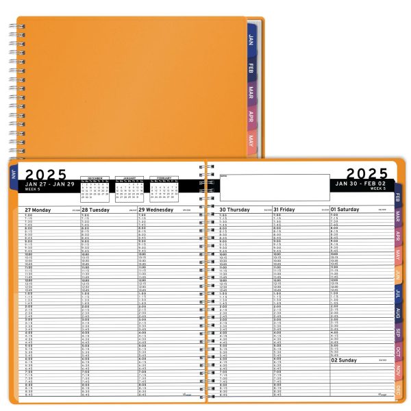 2025 Appointment Book & Planner   8.5 x 11 inches Large Tabbed Daily Hourly Weekly Planner Calendar & Schedule Book 15 Minute time Slots Business & Personal Planner Jan 2025  Dec 2025  Yellow