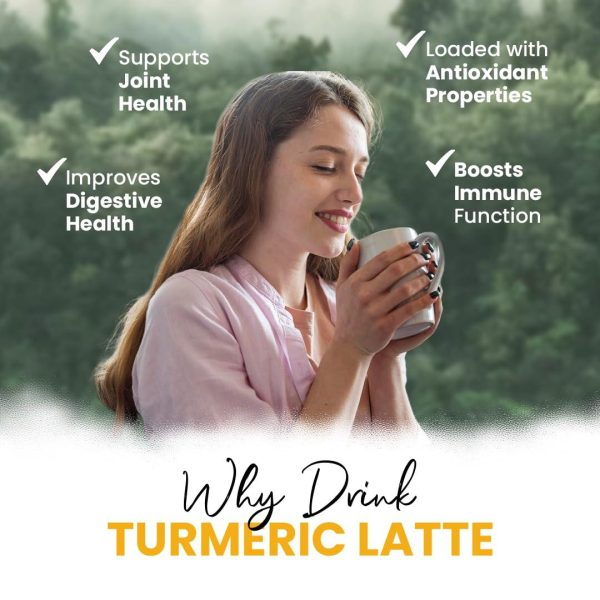 Zealthy Life Turmeric Latte USDA CERTIFIED ORGANIC GOLDEN MILK POWDER WITH CEYLON CINNAMON Non GMO Vegan Keto Gluten free Unsweetened (45 servings) - Image 7