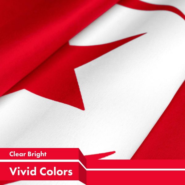 Tunisia Tunisian Flag 3x5 Ft 5-Pack 150D Printed Polyester By G128 - Image 3