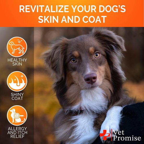Omega 3 for Dogs   Dog Skin and Coat Supplement   Fish Oil for Dogs Chews   Allergy and Dog Itch Relief   Dog Anti Shedding Supplement   Dog Dry Skin Treatment   Salmon Oil   Made in USA   120 Treats - Image 4