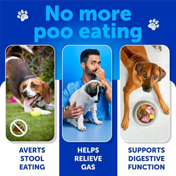 No Poo Chews for Dogs Puppy   Coprophagia Stool Eating Deterrent   Prevent Dog from Eating Poop   Stop Eating Poop Treats with Probiotics & Enzymes   Immune Digestive Gut Health Support Supplement - Image 2