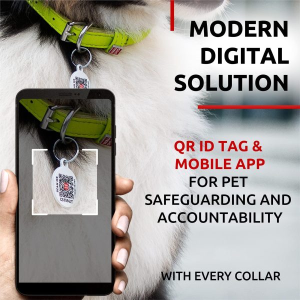 Ultra Soft Rolled Leather Dog Collar for Small Dogs   Soft Padded Dog Collars for Medium Dogs   Puppy Collars for Large Breed Dogs   Male and Female Dog Collar - Image 3