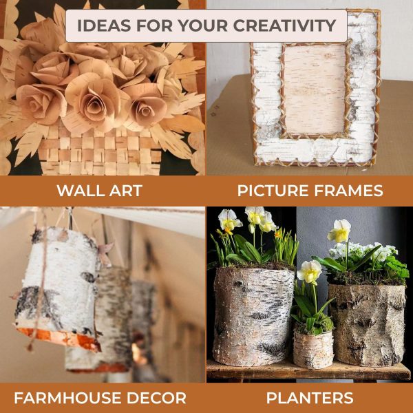 Unfinished Wood Crafts Natural Birch Bark Sheets 12  x 12  12 pcs   White Birch Tree Wall Art Projects to Make Your Own Birch Picture Frames Farmhouse Wall Decorations - Image 3