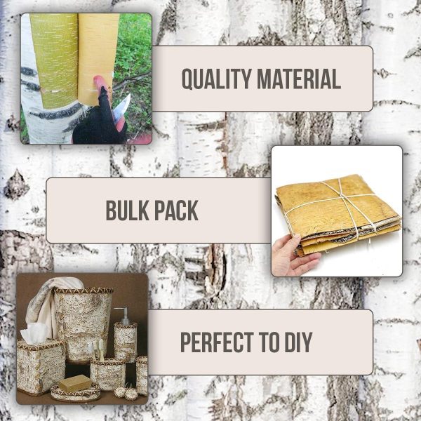 Unfinished Wood Crafts Natural Birch Bark Sheets 12  x 12  12 pcs   White Birch Tree Wall Art Projects to Make Your Own Birch Picture Frames Farmhouse Wall Decorations - Image 5