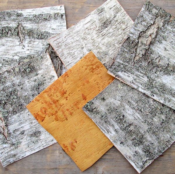 Unfinished Wood Crafts Natural Birch Bark Sheets 12  x 12  12 pcs   White Birch Tree Wall Art Projects to Make Your Own Birch Picture Frames Farmhouse Wall Decorations - Image 6