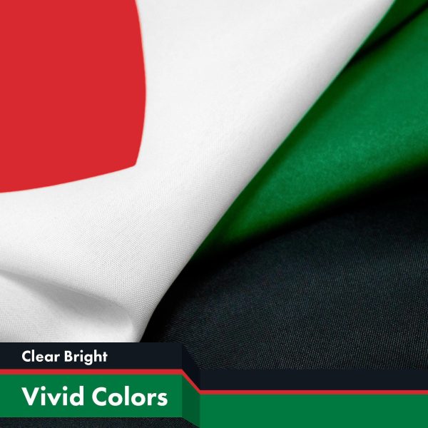 Palestine Palestinian Flag 3x5 Ft 3-Pack 150D Printed Polyester By G128 - Image 3