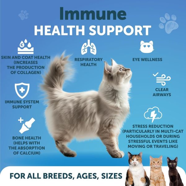 L Lysine for Cats   Lysine Powder Supplement   900mg serving   Immune Support for Cats & Kittens   Sneezing Runny Nose Squinting Watery Eyes Cold Eye Function Respiratory Health   with Taurine - Image 2