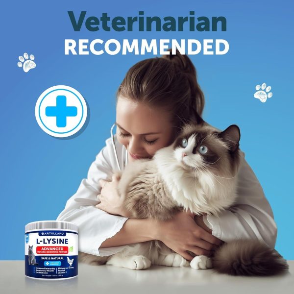 L Lysine for Cats   Lysine Powder Supplement   900mg serving   Immune Support for Cats & Kittens   Sneezing Runny Nose Squinting Watery Eyes Cold Eye Function Respiratory Health   with Taurine - Image 7