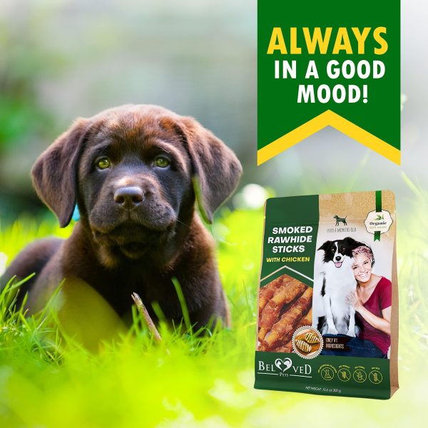 Dog Smoked Rawhide Sticks Wrapped Chicken & Pet Natural Chew Treats   Grain Free Organic Meat & Healthy Human Grade Dried Snacks in Bulk   Best Twists for Training Small & Large Dogs   Made for USA - Image 7