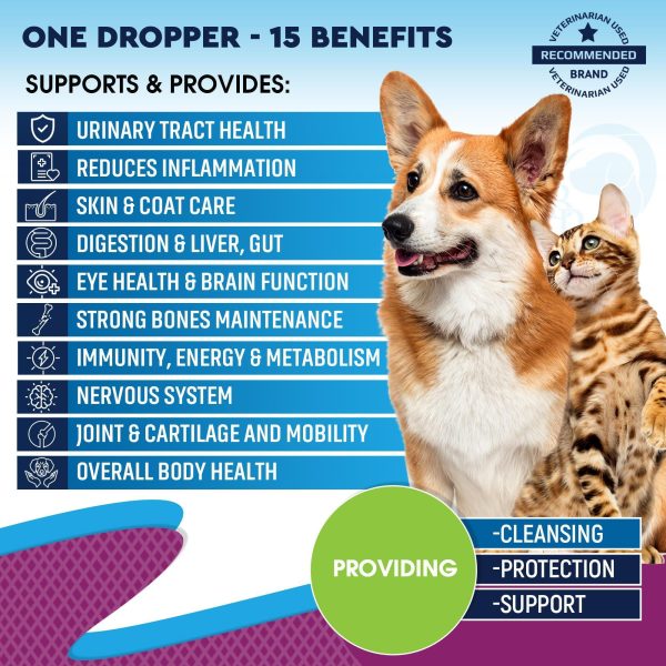 Cat & Dog Multivitamin Liquid with Glucosamine & Cranberry | 15 in 1 Health Supplements for Urinary Tract Kidney Bladder Hip & Joint Skin & Coat | Natural UTI Medicine Made in USA (60 ml) - Image 2