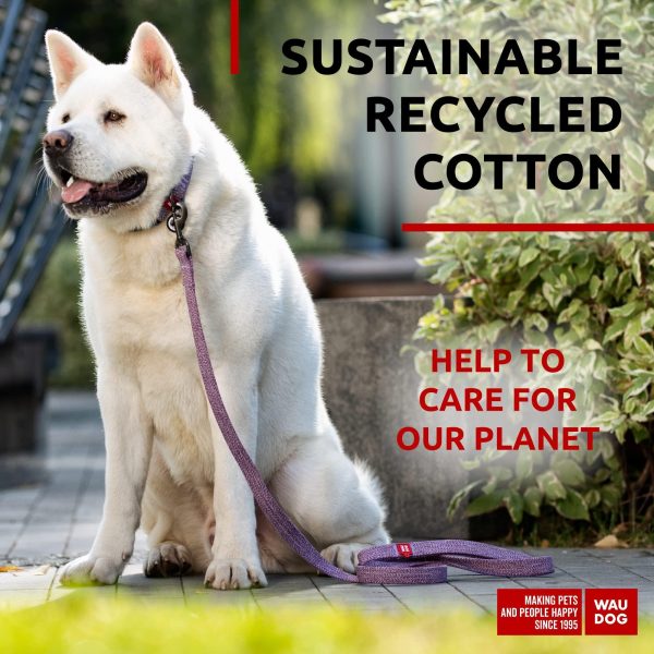 Recycled Cotton Dog Leash 6 Ft   10 Ft Eco Friendly Collar for Small Medium & Large Dogs   Reflective Dog Leash for Medium Dogs   Strong Leashes for Large Breed Dogs Puppy Leash for Small Dogs - Image 2