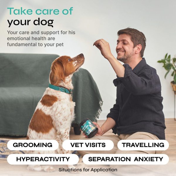 Calming Chews for Dogs   All Canine Breeds   Vet Visits   Travel - Image 4