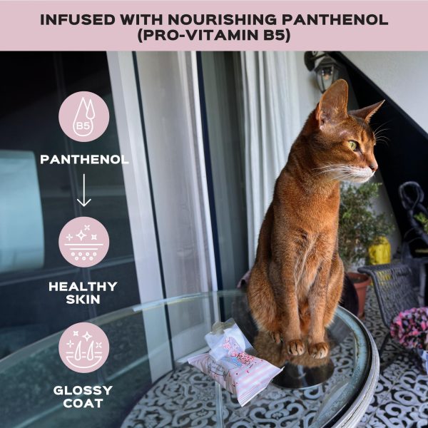 Kotomoda Wet Wipes with Panthenol for Sphynx cat for Everyday use (24Pack 360Count) - Image 3