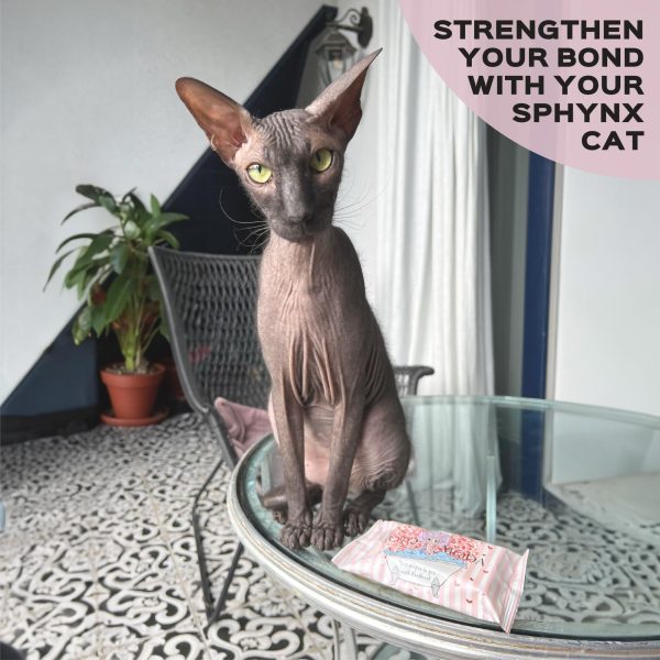 Kotomoda Wet Wipes with Panthenol for Sphynx cat for Everyday use (24Pack 360Count) - Image 7