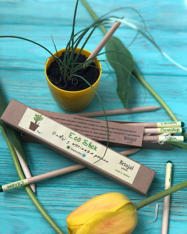 Living growing seed sprout wood pencil kid's garden kit children's garden seed kit grow your own garden kit perfect for kids and adults - Image 2