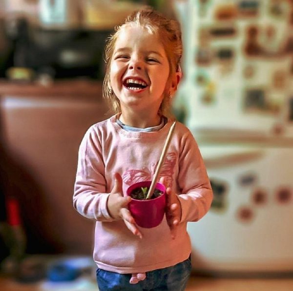 Living growing seed sprout wood pencil kid's garden kit children's garden seed kit grow your own garden kit perfect for kids and adults - Image 4