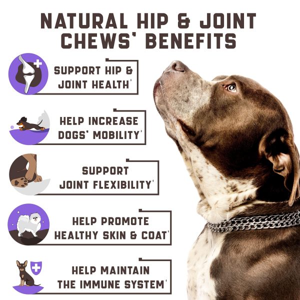 Hemp Joint Supplement for Dogs - Dog Joint Supplement with Glucosamine, Chondroitin, MSM - Supports Hip and Joint Heath, Better Mobility, Skin and Coat - for All Breeds and Ages - 180 Dog Chews, Duck - Image 2
