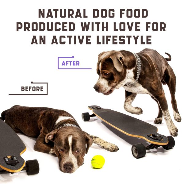 Hemp Joint Supplement for Dogs - Dog Joint Supplement with Glucosamine, Chondroitin, MSM - Supports Hip and Joint Heath, Better Mobility, Skin and Coat - for All Breeds and Ages - 180 Dog Chews, Duck - Image 5