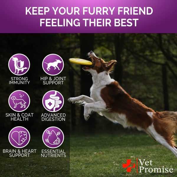 Dog Multivitamin Chewable with Glucosamine   Dog Vitamins and Supplements   Senior & Puppy Multivitamin for Dogs   Pet Joint Support Health   Immunity   Mobility   Energy   Gut   Skin   120 Chews - Image 4