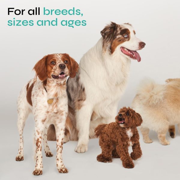 Calming Chews for Dogs Anxiety Relief   Hemp Calming Chews for Dogs with Valerian Root Hemp Seed Oil Turmeric L Theanine   Soft Treats for Storms Fireworks Separation Vet Visits Grooming - Image 7
