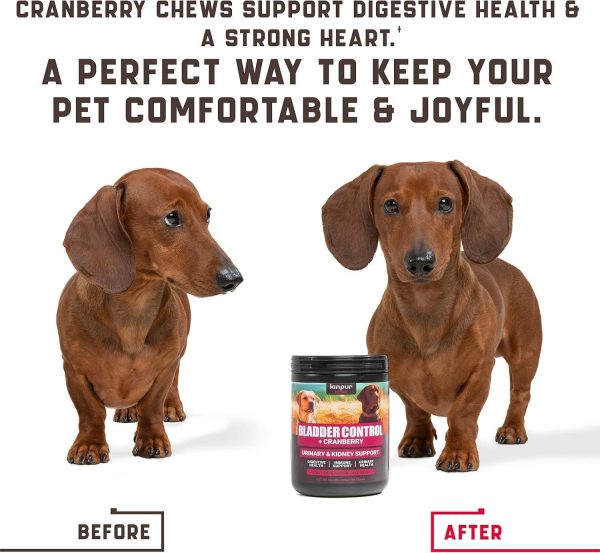Dog UTI Treatment 180 Chews w Cranberry, Natural UTI Medicine for Dogs - Pet Supplement for Dog Urinary Tract Infection Treatment, Good for Bladder Control, Dog Incotinence, Kidney Health, Dog Breath - Image 6