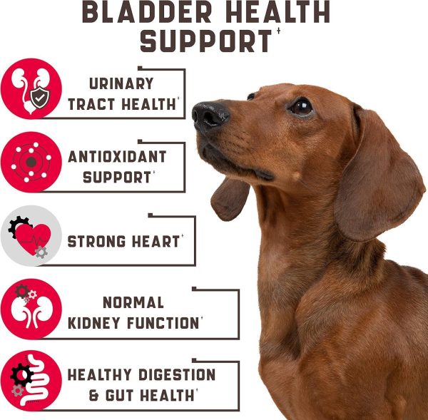 Dog UTI Treatment 180 Chews w Cranberry, Natural UTI Medicine for Dogs - Pet Supplement for Dog Urinary Tract Infection Treatment, Good for Bladder Control, Dog Incotinence, Kidney Health, Dog Breath - Image 7