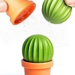 Novelty Salt and Pepper Shakers Cactus by Qualy Design Studio. Salt and Pepper Shaker in One. Great Decorative and Practical Accessory for Kitchen Dining Room. Cool to Salt Tequila:)