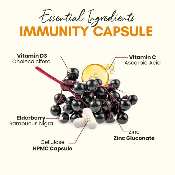 Immune Support Supplement Elderberry Capsules with Vitamin D3 Vitamin C and Zinc for Immune Support Immune Boosters for Adults - Image 4