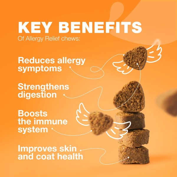 Dog Allergy Relief Chews   Itch Relief for Dogs   Anti Itch   Dog Allergy Chews   US Formulated Dog Itching Skin Relief with Salmon Oil   Immune Health Seasonal Allergies & Hot Spots Support Treats - Image 3
