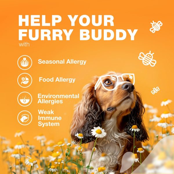 Dog Allergy Relief Chews   Itch Relief for Dogs   Anti Itch   Dog Allergy Chews   US Formulated Dog Itching Skin Relief with Salmon Oil   Immune Health Seasonal Allergies & Hot Spots Support Treats - Image 4