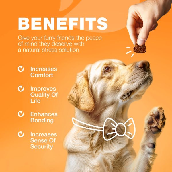 Dog Allergy Relief Chews   Itch Relief for Dogs   Anti Itch   Dog Allergy Chews   US Formulated Dog Itching Skin Relief with Salmon Oil   Immune Health Seasonal Allergies & Hot Spots Support Treats - Image 8