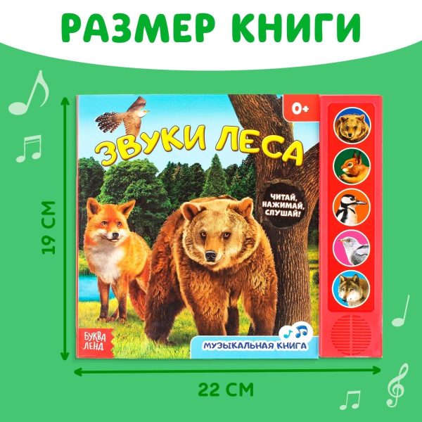 Musical book “Звуки леса” interactive sound book in Russian 5 animal sounds 10 sturdy cardboard pages for toddlers and young children learn about forest animals develops curiosity and listening skills - Image 2