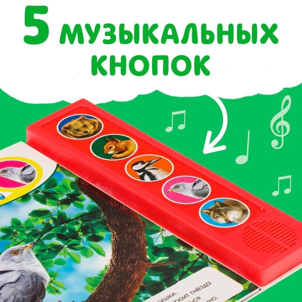 Musical book “Звуки леса” interactive sound book in Russian 5 animal sounds 10 sturdy cardboard pages for toddlers and young children learn about forest animals develops curiosity and listening skills - Image 3