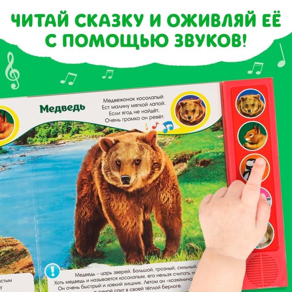 Musical book “Звуки леса” interactive sound book in Russian 5 animal sounds 10 sturdy cardboard pages for toddlers and young children learn about forest animals develops curiosity and listening skills - Image 4