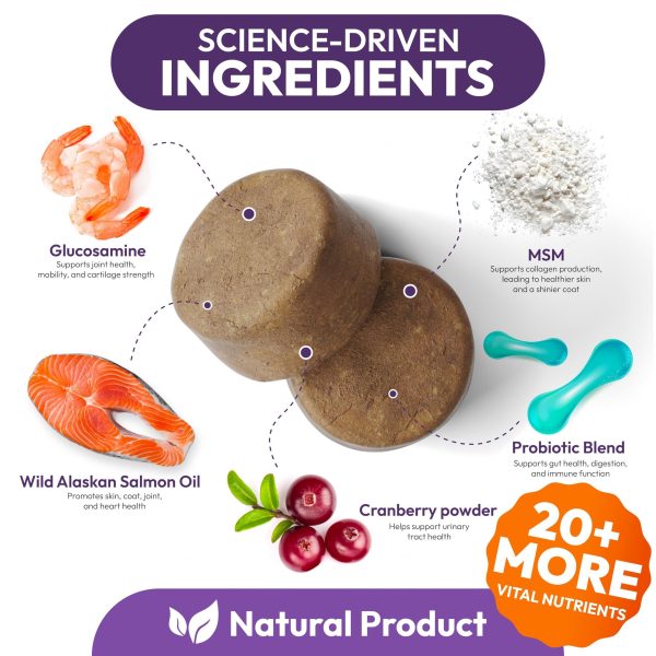 Dog Multivitamin Chewable   Dog Vitamins and Supplements with Glucosamine   170 Chews   Hip & Joint Pet Immune Support Skin & Coat Gut & Heart Health   Senior & Puppy Multivitamin Pet Supplement - Image 3
