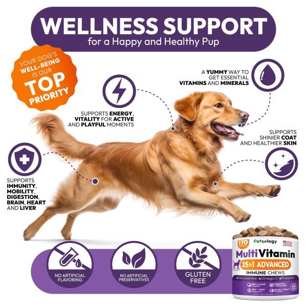 Dog Multivitamin Chewable   Dog Vitamins and Supplements with Glucosamine   170 Chews   Hip & Joint Pet Immune Support Skin & Coat Gut & Heart Health   Senior & Puppy Multivitamin Pet Supplement - Image 4