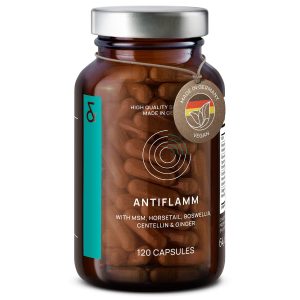 Boswellia Extract Capsules with MSM Horsetail Extract Gotu Kola & Ginger Extracts   Joint Support Supplement   120 Capsules