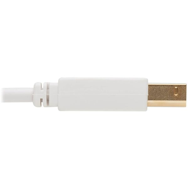 Eaton Tripp Lite Series Safe-IT USB 2.0 A to B Antibacterial Cable (M/M), White, 10 ft. (3.05 m) - Image 2