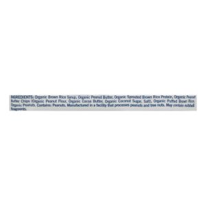 GoMacro Organic Macrobar - Peanut Protein - 2.3 oz Bars - Case of 12